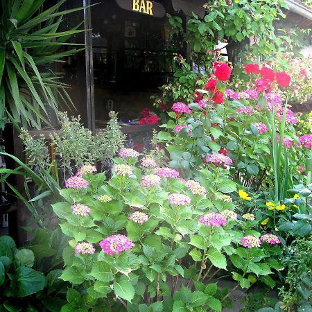 Apartments Erato เนออส ปันเตเลโมนาส ภายนอก รูปภาพ