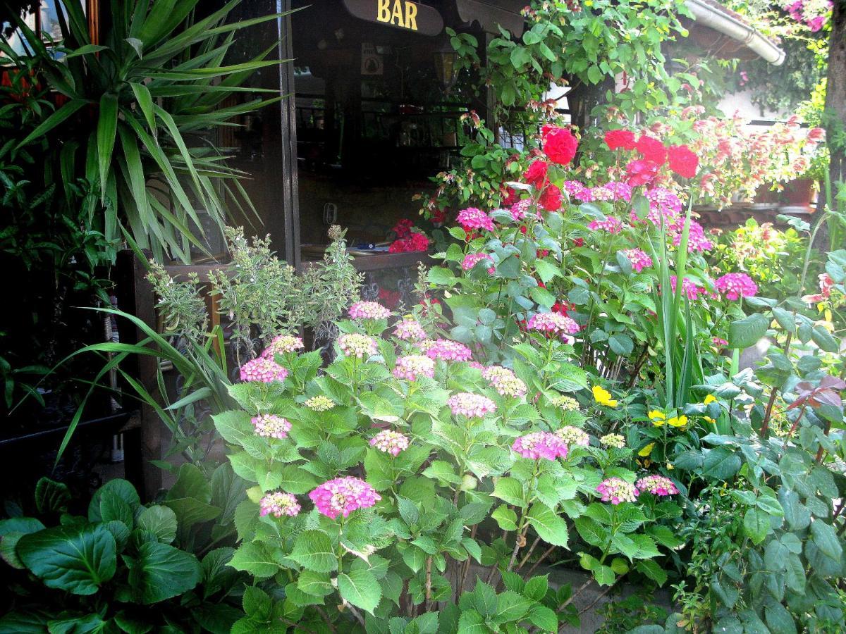 Apartments Erato เนออส ปันเตเลโมนาส ภายนอก รูปภาพ